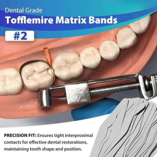 Dental Tofflemire Matrix Bands by | Stainless Steel, Thickness .0015"/0.04mm